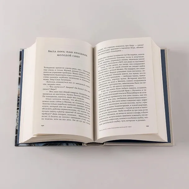 Книга Эффект Ребиндера  (Елена Минкина-Тайчер) — 7