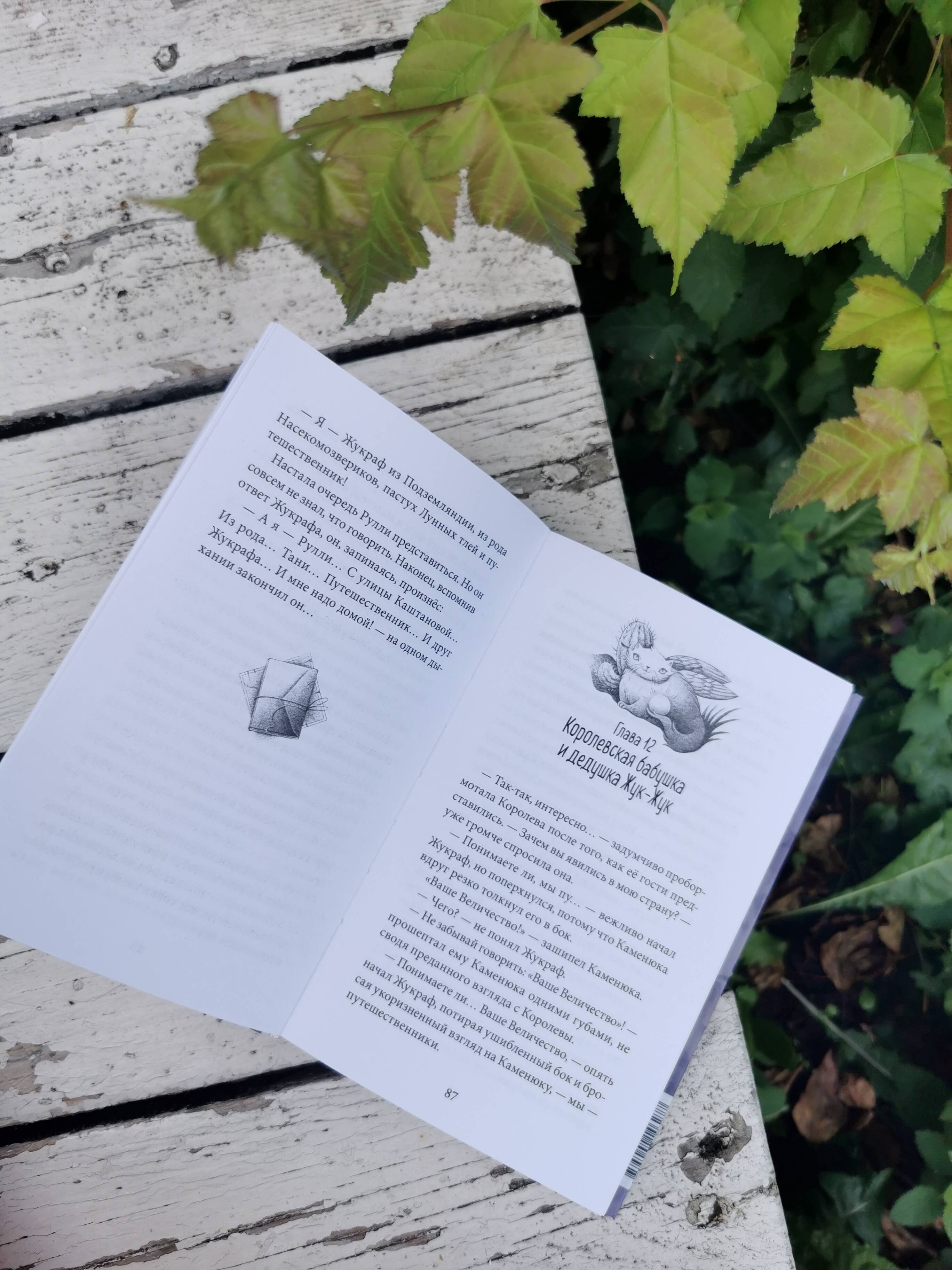 Изображение бумажной книги