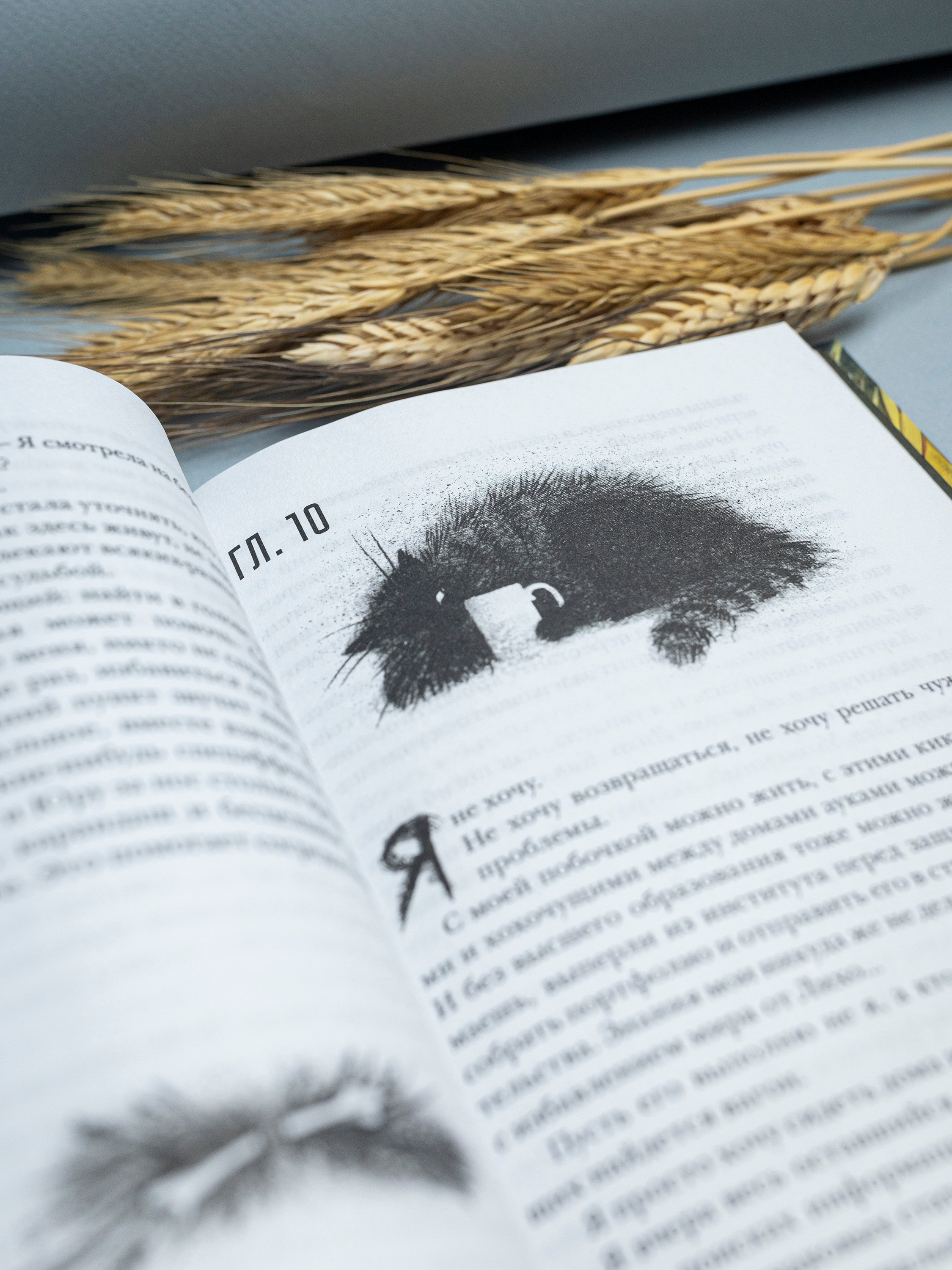 Изображение бумажной книги