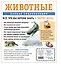 Животные. Полная энциклопедия — 3053633 — 2