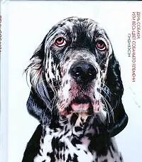 Книга День собаки, или Весь цвет собачьего племени (Гэнди Вэсэн)