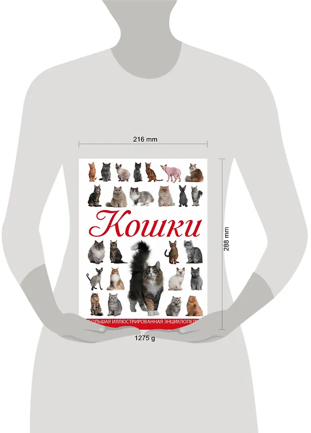 Книга Кошки (Дмитрий Смирнов) — 4