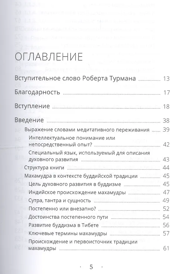 Книга Указывая великий путь. Махамудра: этапы медитации (Дэниел Браун) — 2