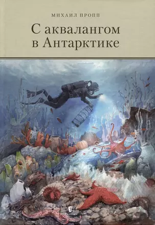 С аквалангом в Антарктике — 3044765 — 1