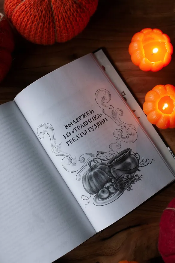 Книга Самайн у ведьмы пограничья (Уоллис Кинни) — 14