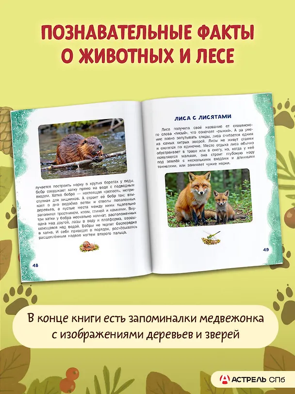 Книга Первые уроки медвежонка () — 7