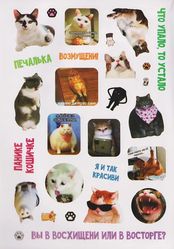 Книга Мяумемы. Котостикеры с ВАУ-эффектом! Наклейки () — 3
