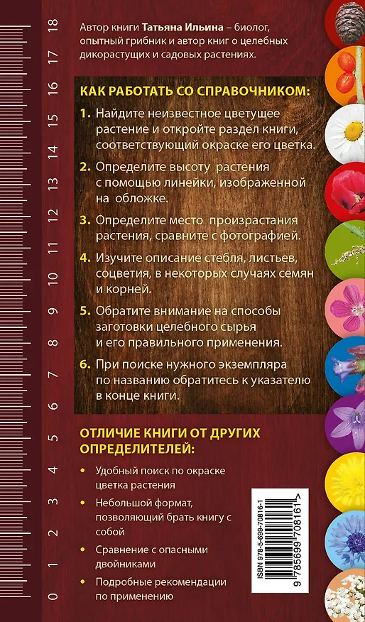 Книга Целебные травы. Карманный справочник-определитель (Татьяна Ильина) — 2