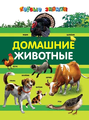 Книга Домашние животные (Дарья Тарасик)