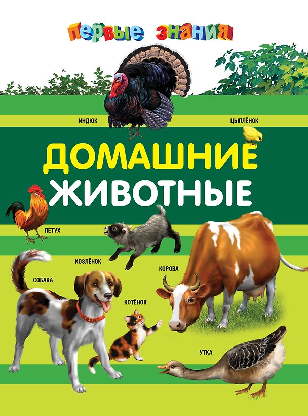 Книга Домашние животные (Дарья Тарасик) — 1