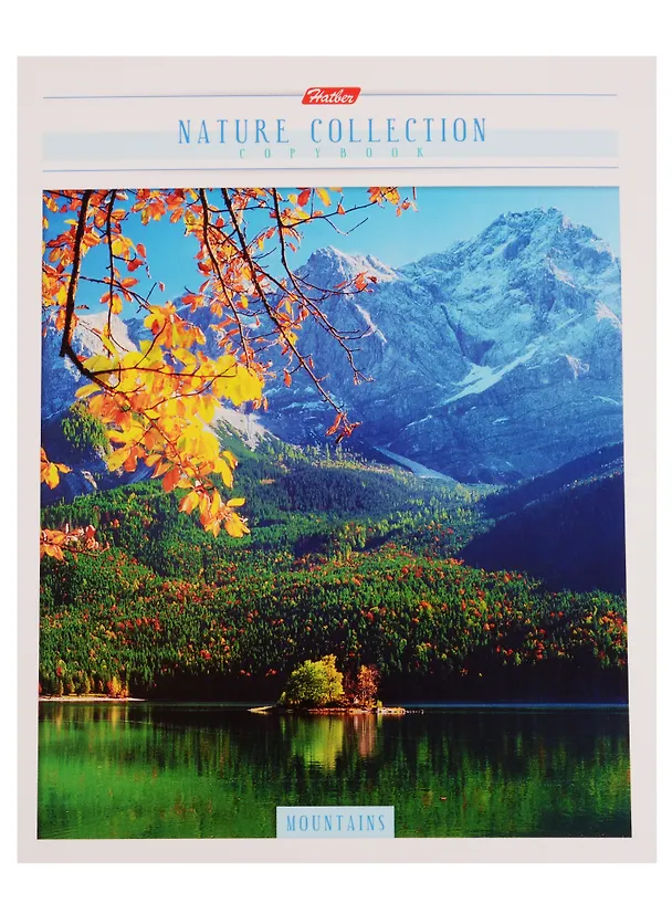 Тетрадь общая «Nature Collection» в ассортименте, 80 листов в клетку, А5 - Hatber 240603 — 2