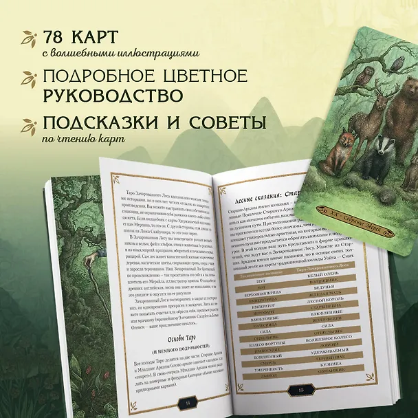 Книга Таро Зачарованного леса (78 карт и руководство по работе с колодой в подарочном оформлении) (Лунаэ Везерстоун) — 8