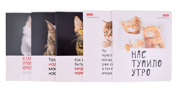 Тетрадь общая «Котоюмор», 48 листов в клетку, A5, в ассортименте - Hatber 2983056 — 1