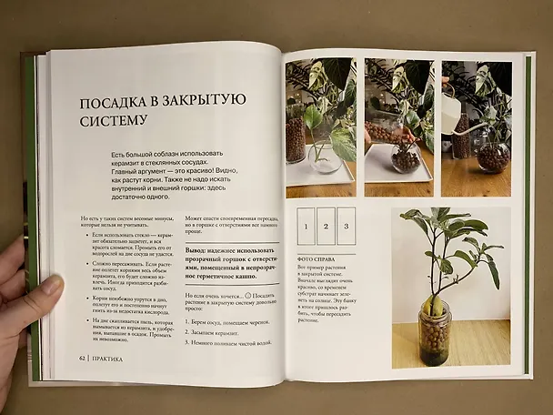 Книга Что должно быть в горшке у комнатных растений. Беспочвенные мифы (Анна Петровская) — 9