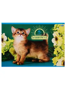 Альбом для рисования BG, "Котики", А4, 12 листов, на склейке, в ассортименте