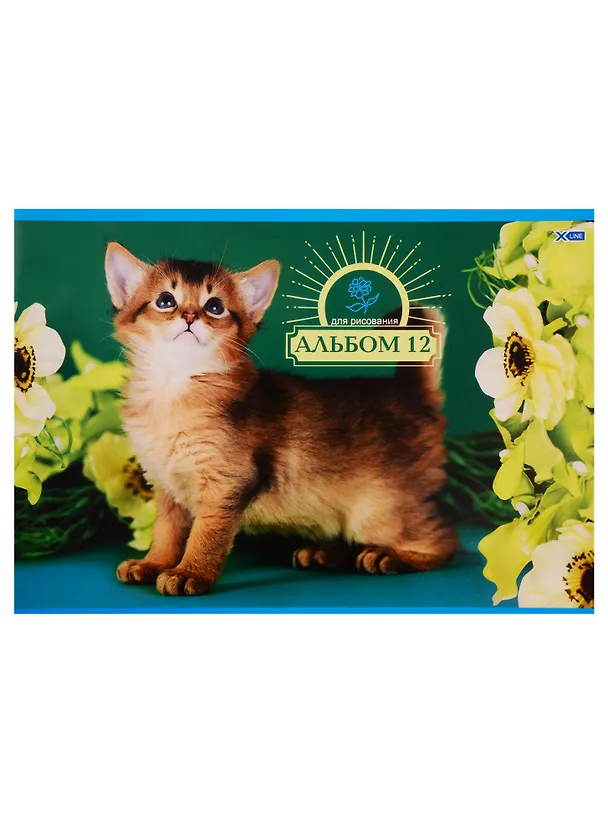 Альбом для рисования «Котики» BG А4, 12 листов, склейка, в ассортименте 253296 — 1