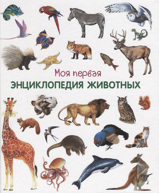 Книга Моя первая энциклопедия животных () — 1