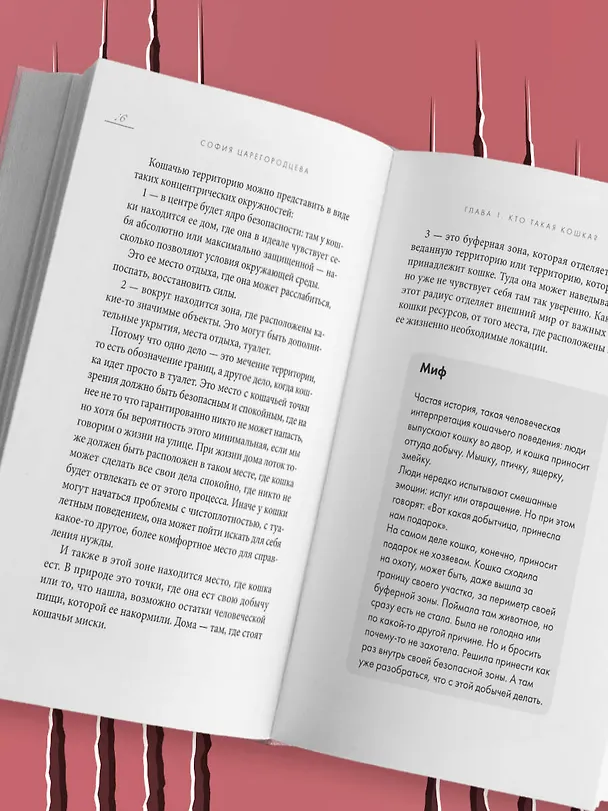 Книга Кошачий закон и порядок. Как найти общий язык с кошкой и не стать жертвой ее капризов (София Царегородцева) — 14