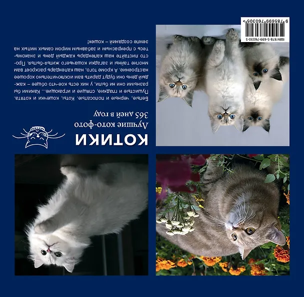 Книга Котики. Лучшие кото-фото. 365 дней в году () — 2