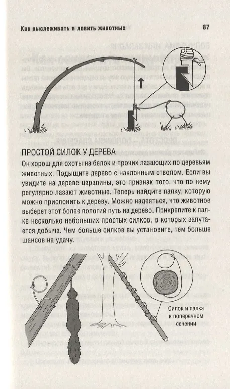 Книга Выжить любой ценой: практическое пособие (Беар Гриллс) — 8