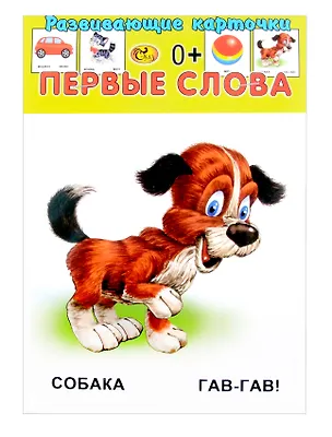 Книга Развивающие карточки Первые слова (0+) (13 карточек) ()