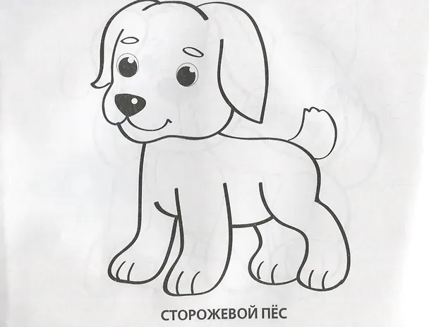 Книга Супер-раскраска. Домашние животные. (64 картинки) (Алексей Козырь, Анна Козырь) — 3