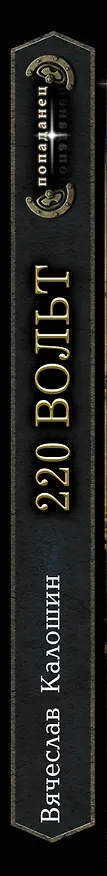 Книга 220 вольт (Вячеслав Калошин) — 4