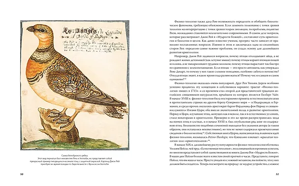 Книга Иллюстрированная история орнитологии (Тим Беркхед) — 6
