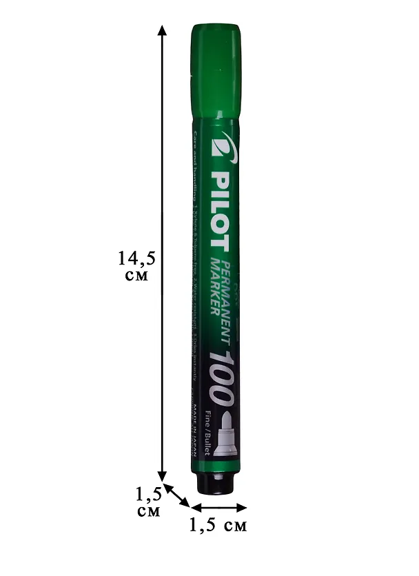 Маркер перманентный Pilot, SCA-100 (G), зеленый 1 мм 246024 — 2