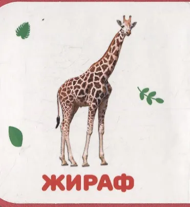 Книга Дикие животные () — 3