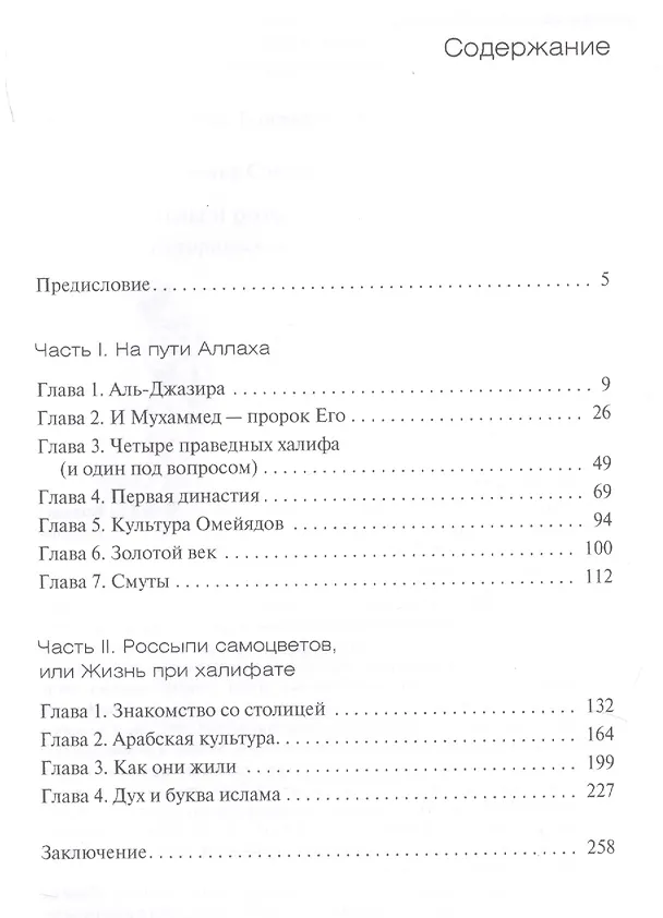 Книга Львы и розы ислама. Историческое путешествие от Мекки до Багдада (Владимир Соколов) — 2