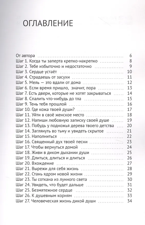 Книга 29 шагов. Чтобы выйти из Лабирина (Дика Кара) — 2