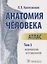 Анатомия человека Атлас т3/3тт Неврология Эстезиология (м) Колесников — 2645141 — 1