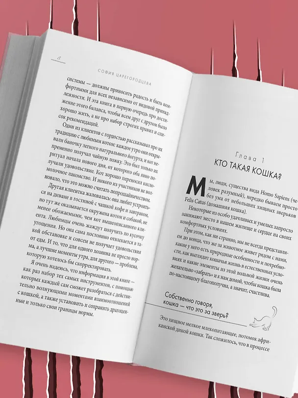 Книга Кошачий закон и порядок. Как найти общий язык с кошкой и не стать жертвой ее капризов (София Царегородцева) — 10