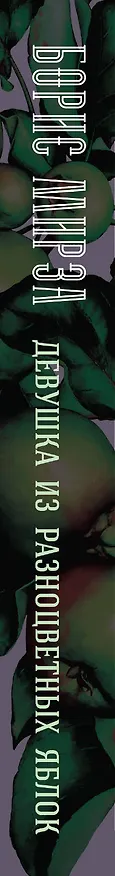 Книга Девушка из разноцветных яблок (Борис Мирза) — 3