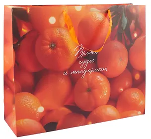 Пакет А3+ 50*40*15 "Время чудес…" Новый год, бум.ламинат 3129132