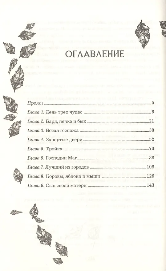 Книга Анима. Медная чайка (Екатерина Соболь) — 2