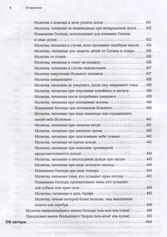 Книга Путь к вере (Шамиль Аляутдинов) — 8