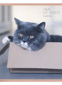 Тетрадь в клетку Listoff, "Мой котик", 80 листов, в ассортименте