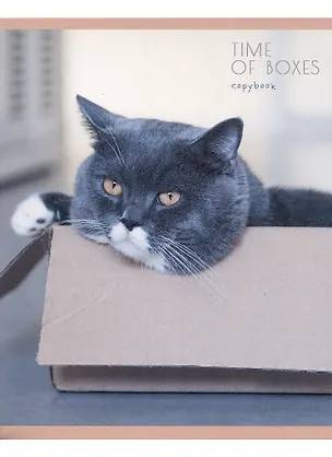 Тетрадь в клетку Listoff, "Мой котик", 80 листов, в ассортименте 2883523