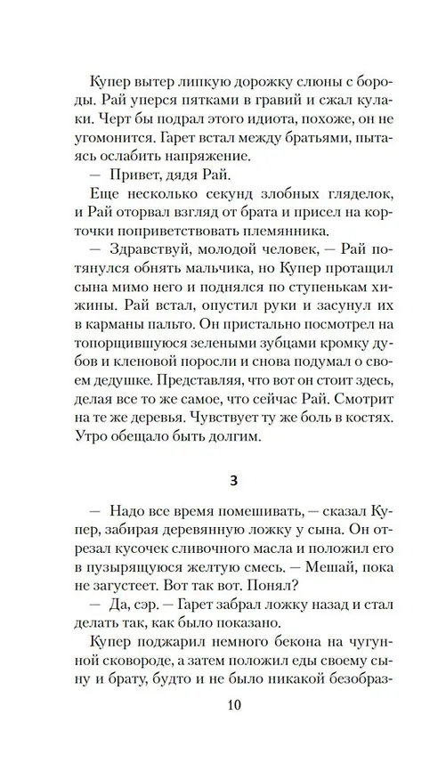 Книга Бычья гора (Брайан Панович) — 25
