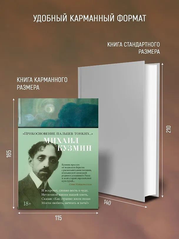 Книга "Прикосновение пальцев тонких..." (Михаил Кузмин) — 6