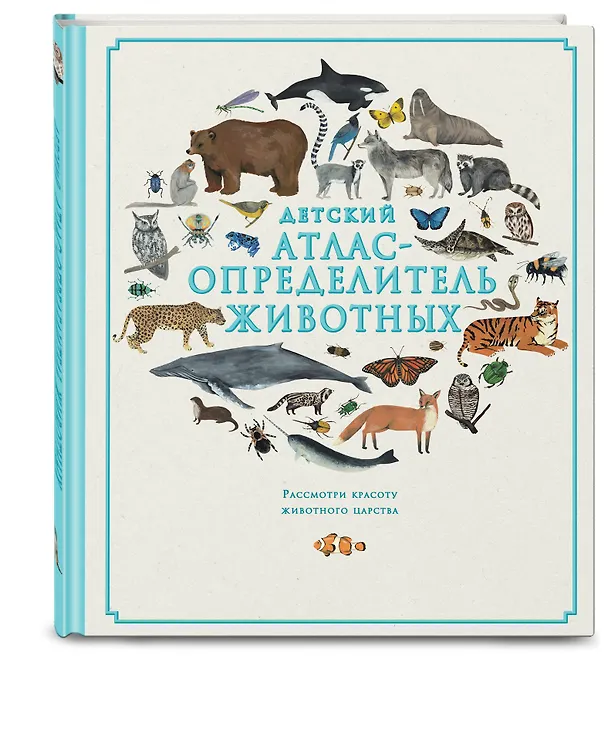 Книга Детский атлас-определитель животных (Джулс Ховард, Фэй Эванс) — 4