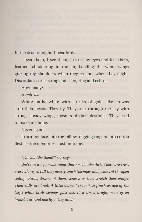 Книга Imagine Me (Tahereh Mafi) — 2
