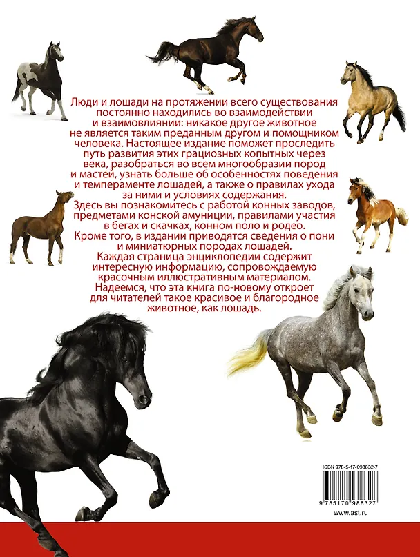 Книга Лошади (Анна Спектор) — 2
