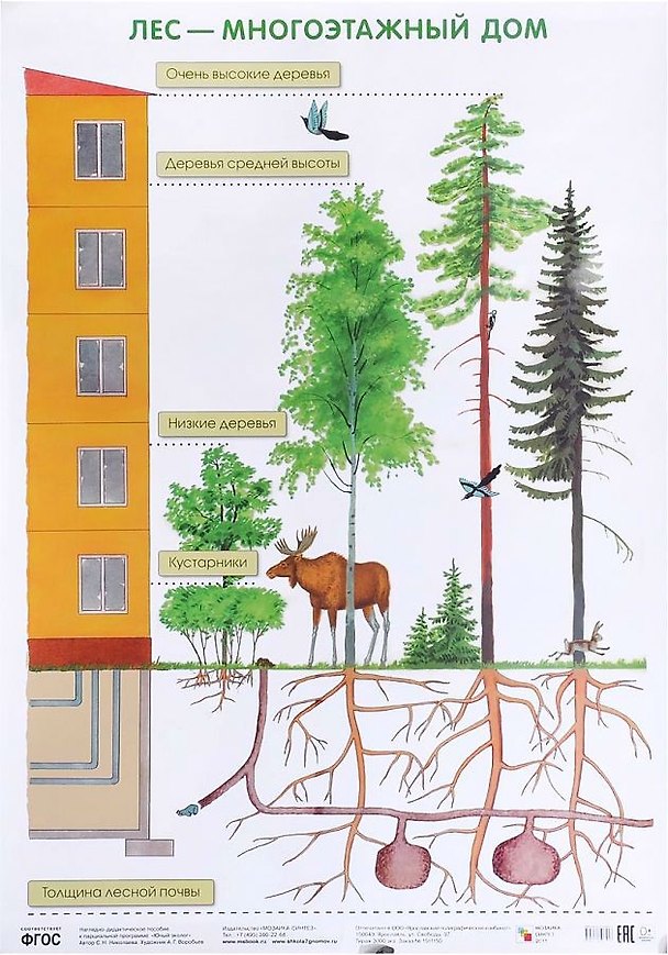 Книга Лес — многоэтажный дом 50 x 69 () — 1