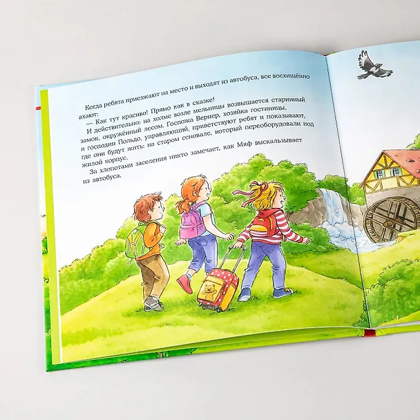 Книга Конни едет на экскурсию (Лиана Шнайдер) — 13