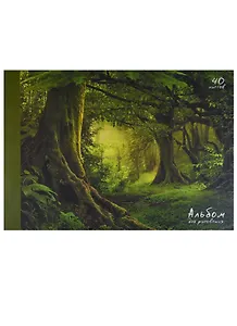 Альбом для рисования Unnika, "Лесная сказка", А4, 40 листов, на склейке