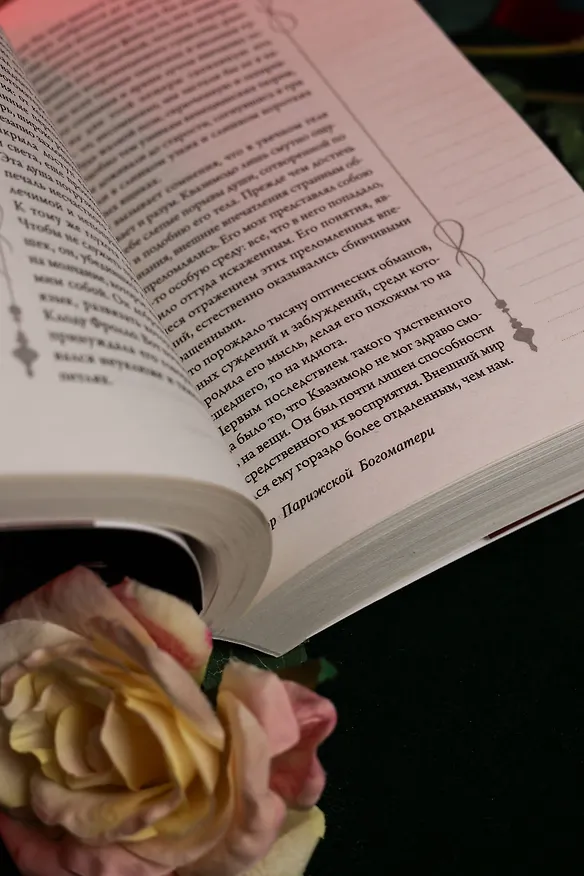Книга Собор Парижской Богоматери (Виктор Мари Гюго) — 13