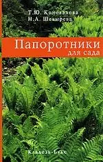 Папоротники для сада — 2214093 — 1